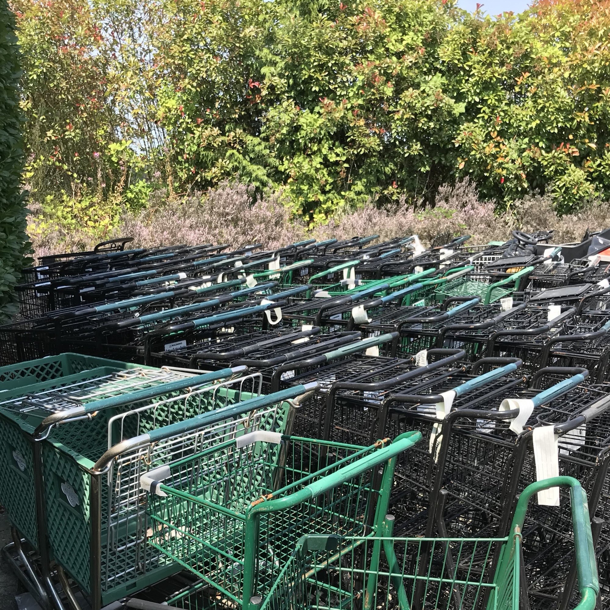 cart backyard square